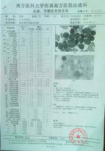 高俊的血液、骨髓檢查報告單